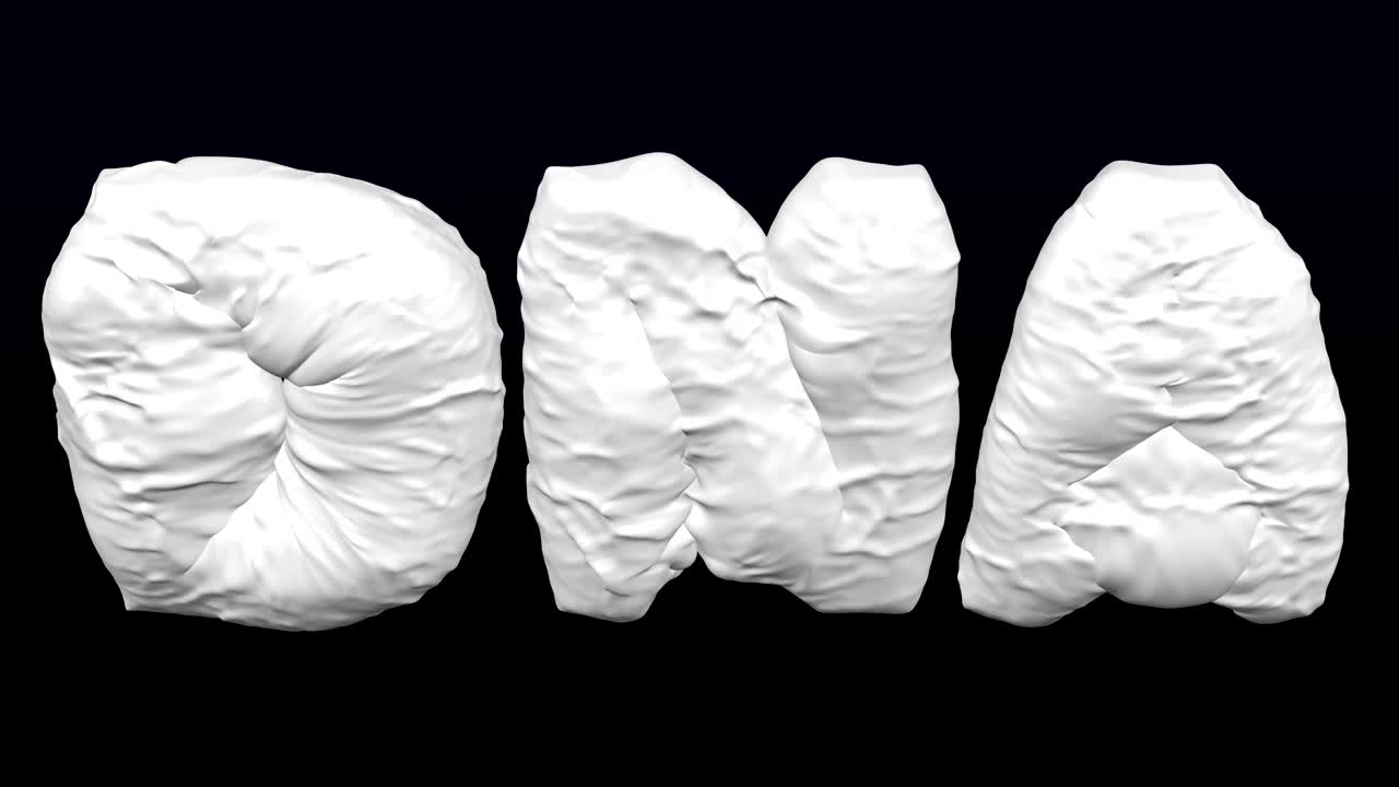 개념: 비만에 대한 유전적 기질.