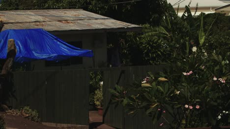 small hut with blue tilt blow on wind