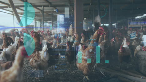 brown hens walking and pecking in barn, showing digital monitoring charts in flat design