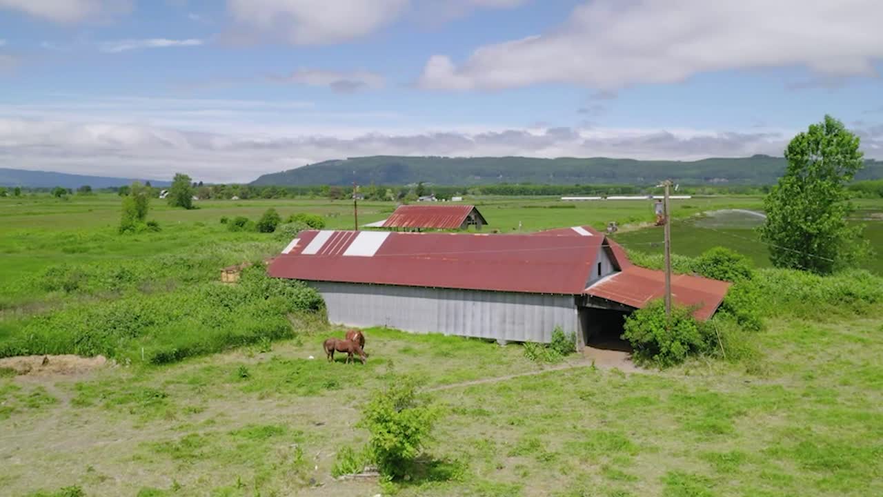 Large Barn On The Green Field Of A Farmland Located In Oregon, United States Of America