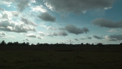 Statische-Filmische-Zeitrafferaufnahme-Eines-Weiten-Feldes-Mit-Blick-Auf-Bäume-Und-Die-Vorbeiziehenden-Wolken-An-Einem-Sommertag-Bei-Einem-Wunderschönen-Sonnenuntergang