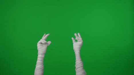 Mummy Hands Gesturing on Green Screen