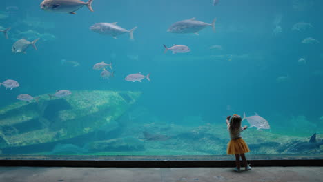 little girl in aquarium looking at fish swimming in tank happy child watching beautiful marine animals in oceanarium having fun learning about sea life in aquatic habitat