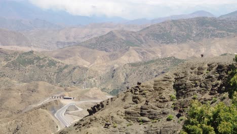 imágenes de 4k de vista panorámica a la montaña del atlas con cabras caminando, marruecos, áfrica del norte
