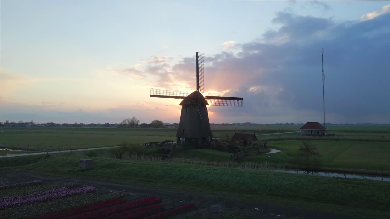 Prospettiva aerea di paesaggi di tulipani con iconico mulino a vento, Keukenhof, Paesi Bassi