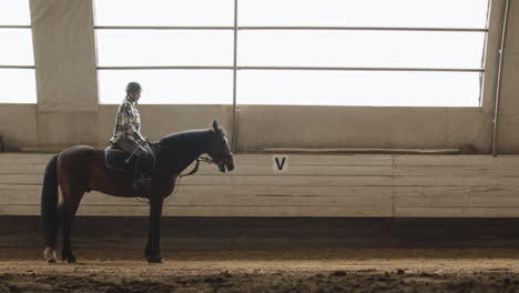 vista lateral, de, mujer, equitación, un, caballo