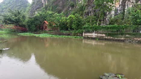 calm river surrounded by lush greenery