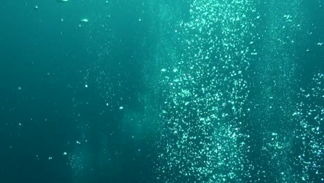 scuba divers' bubbles rise from below