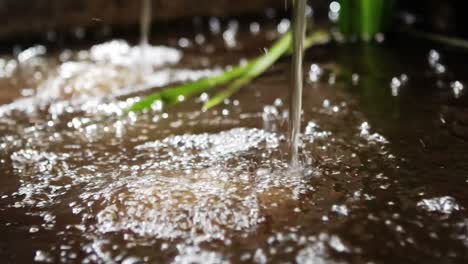 water flowing from tap into pool