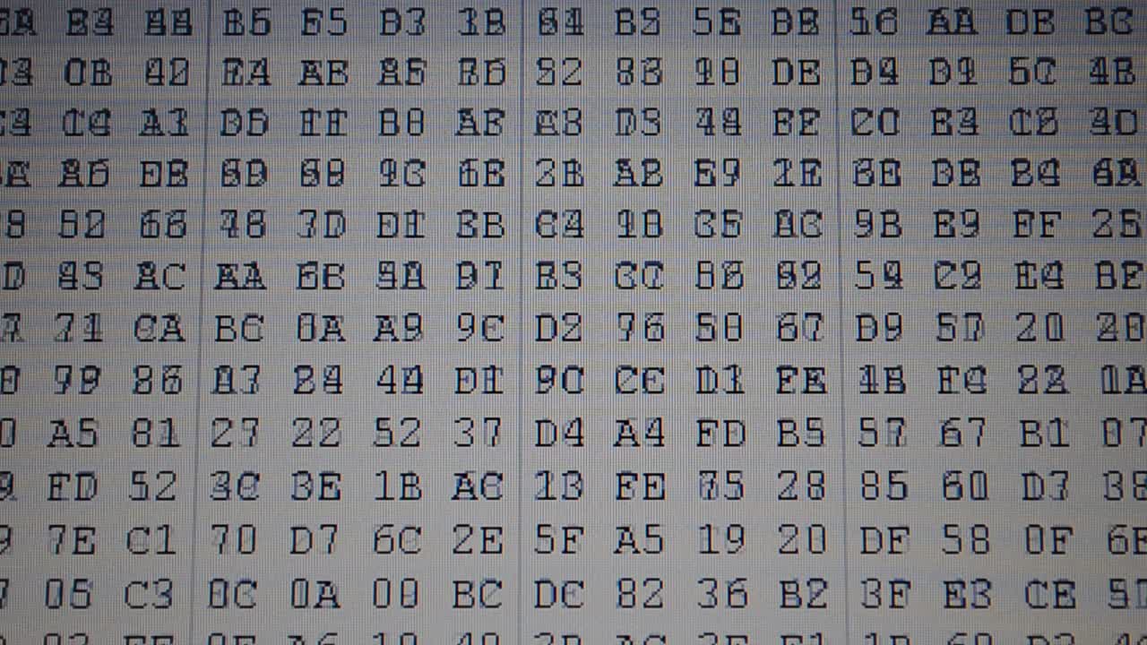 The file in the form of a code. Hexadecimal program code on screen. Animated background of moving binary code numbers