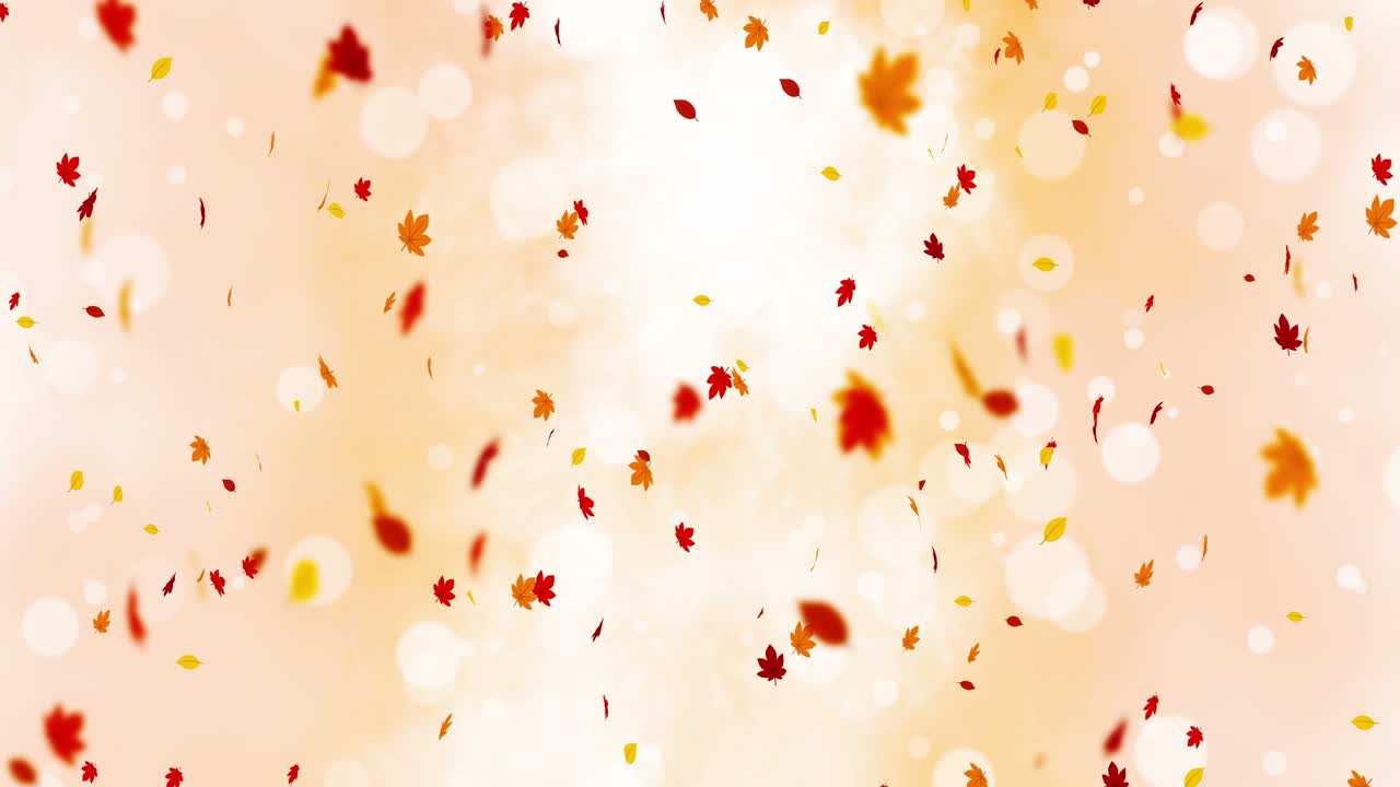 빛 은 잎은 빛과 함께 가을의 배경에서 흔들립니다. 아름다운 자연 장면. 일러스트레이션 메이플 잎. 가을 추상적인 그래픽. 루프 애니메이션.