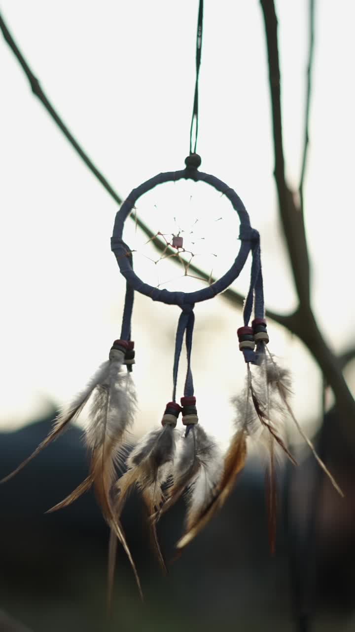 Dreamcatchers with Feathers