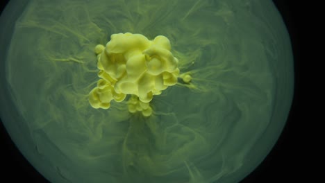 amazing yellow ink underwater explosion on a black background - macro shot