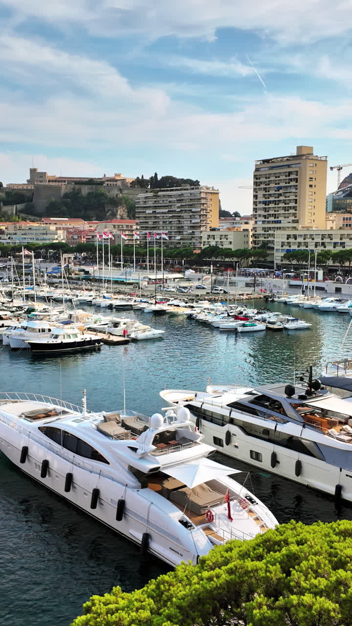Vista aerea di barche ormeggiate nel porto turistico di Monaco. Verticale