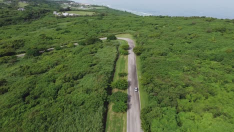 Drone-shot-of-a-car-driving-along-a-straight-forest-road-in-a-tropical-island