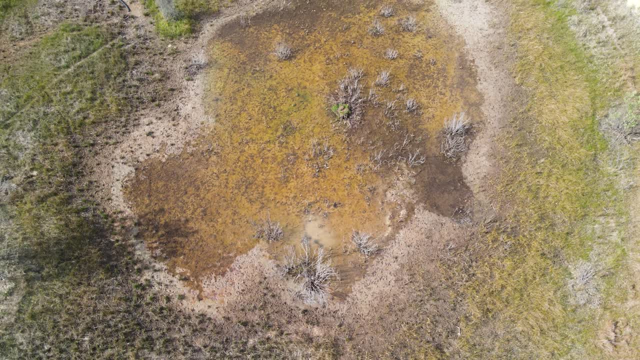 вращаться и медленно подниматься над прудом с дождевой водой