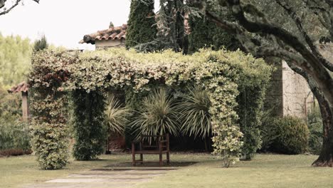banco de madera bajo un jardín exuberante rodeado de vegetación y árboles