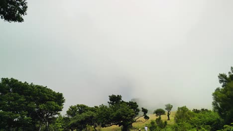 Tourists-walking-towards-the-Fanal-forest-demarcation-point-of-the-fog-covered-and-the-clear-region