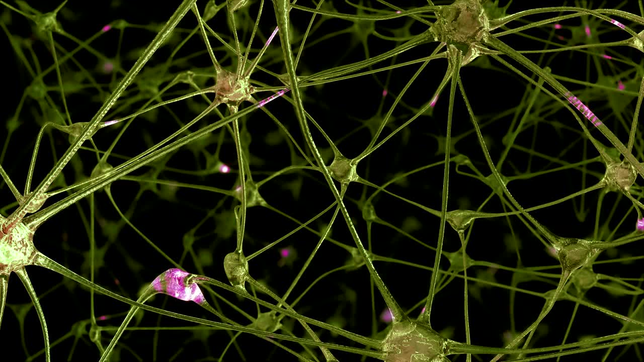 viaje a través de una red de células neuronales y sinapsis en el cerebro a través de la cual pasan impulsos eléctricos y descargas