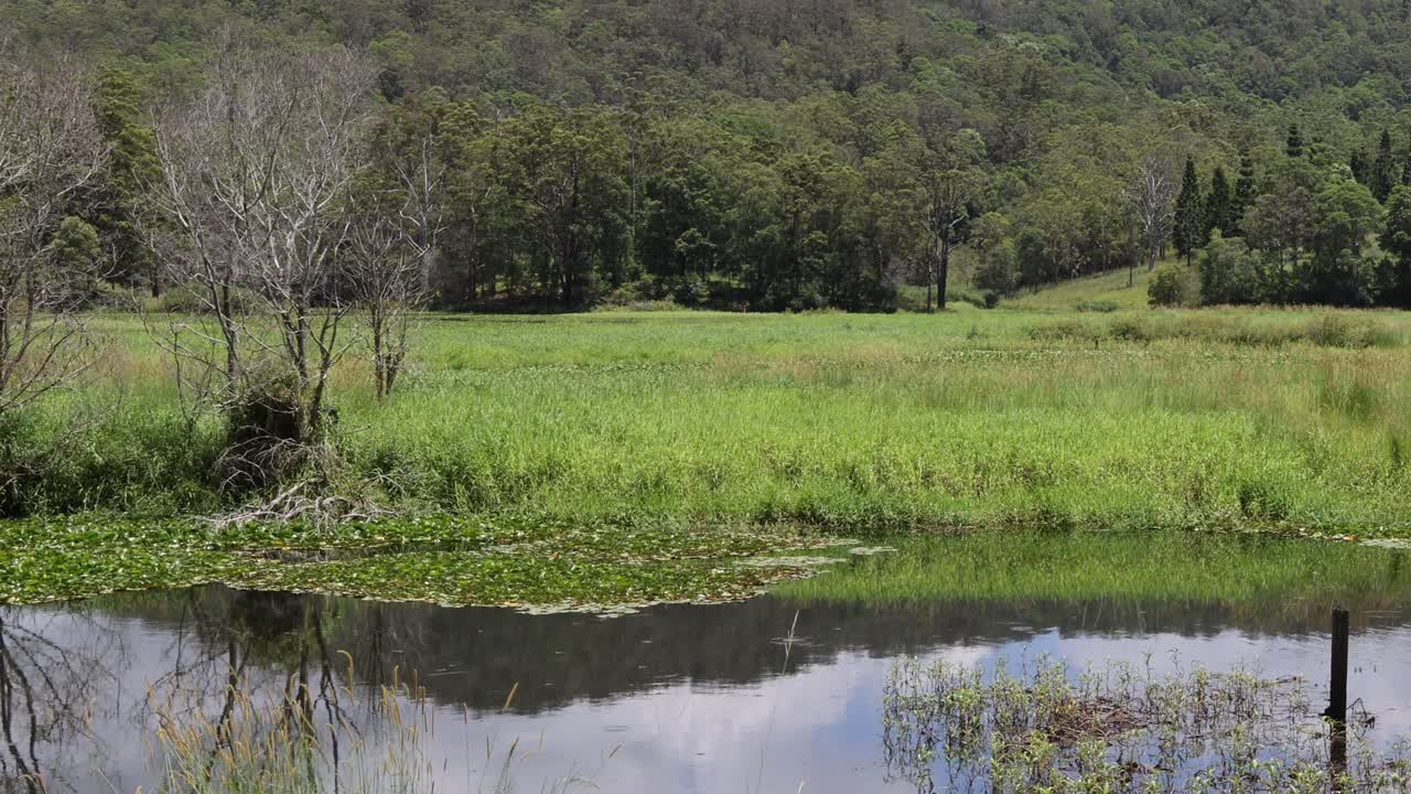 cuerpo de agua sereno que refleja un paisaje natural vibrante