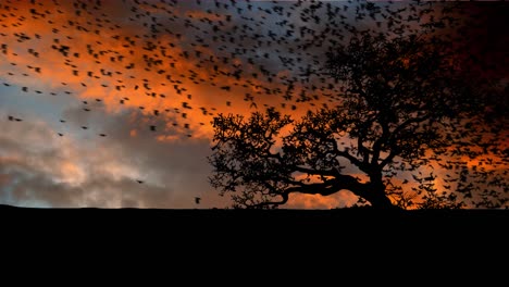 silhouette of flying birds at sunset with a lone tree and dramatic sky
