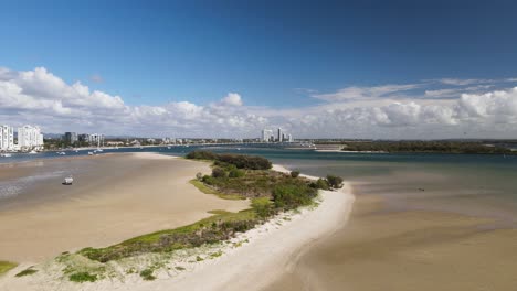 natural ecosystem close to a city harbor with an urban skyline and mountain range in the distance