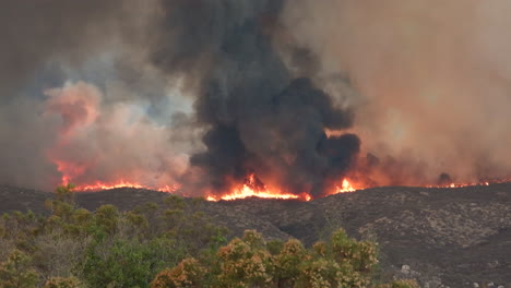 wide shot of extreme forest fire in california during heatwave season - dark toxic fumes rising into sky - environment catastrophe on earth