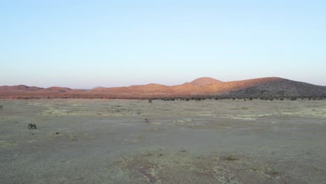 Manada-De-Elefantes-Y-Paisaje-Namibio-Al-Amanecer,-Tiro-Aéreo