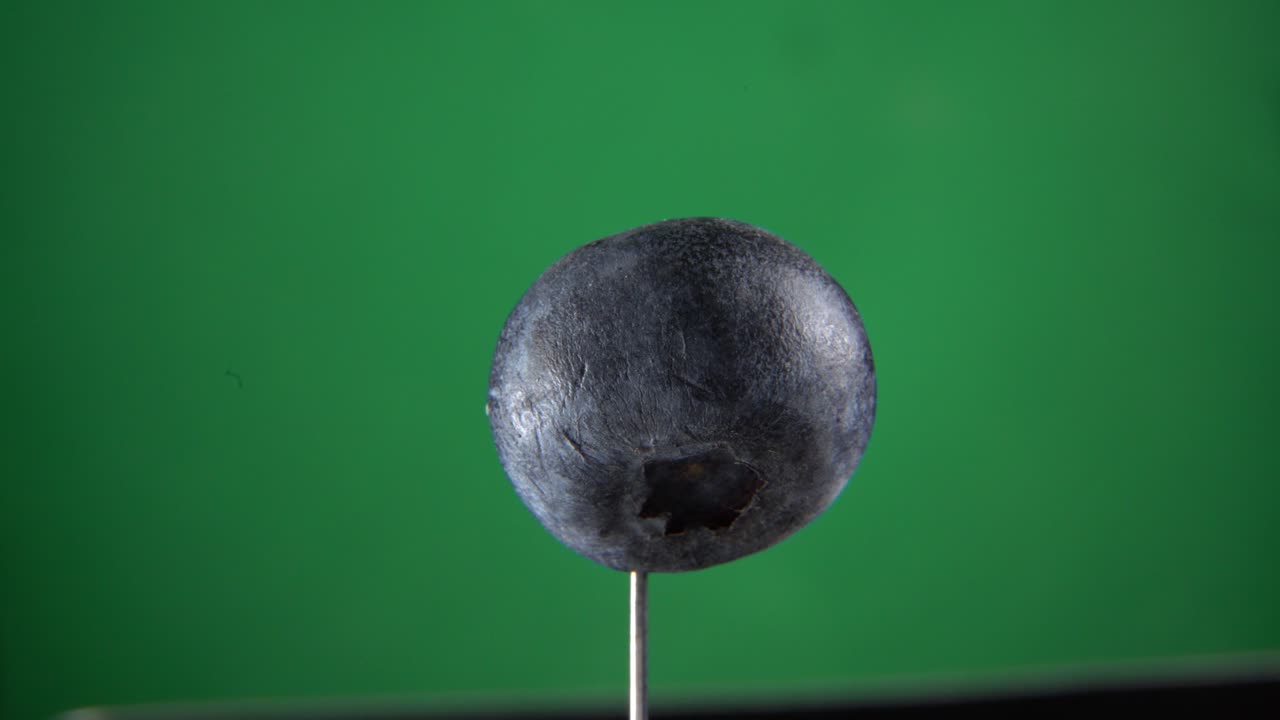 Blueberry rotating with loop on green screen for chroma key