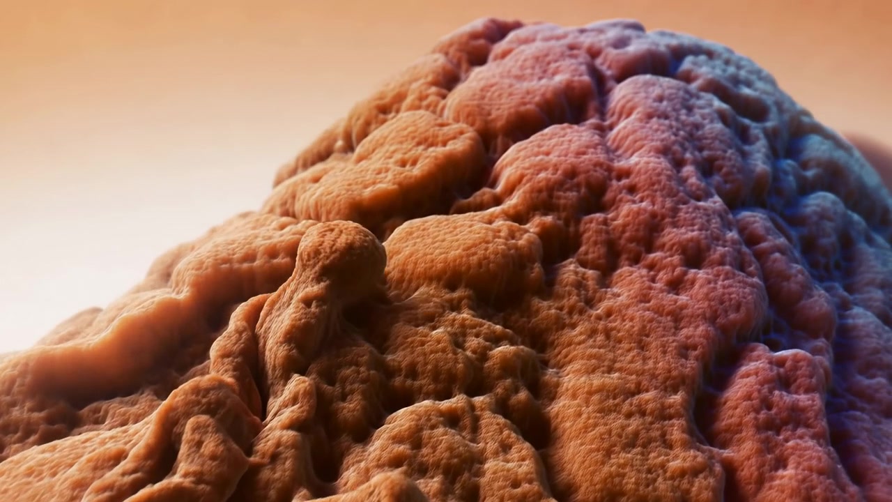 Primo piano di una superficie irregolare, arancione-marrone e texturizzata, con profonde scanalature, dettagli porosi e forti contorni in ombra, che riempie l'inquadratura sotto una luce calda, simile a quella del tramonto.