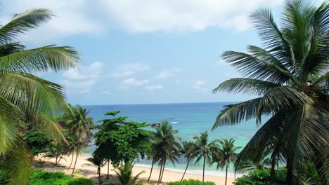 Fliegen-Zwischen-Palmen-In-Richtung-Meer-über-Einem-Paradiesischen-Strand-In-São-Tomé,-Afrika