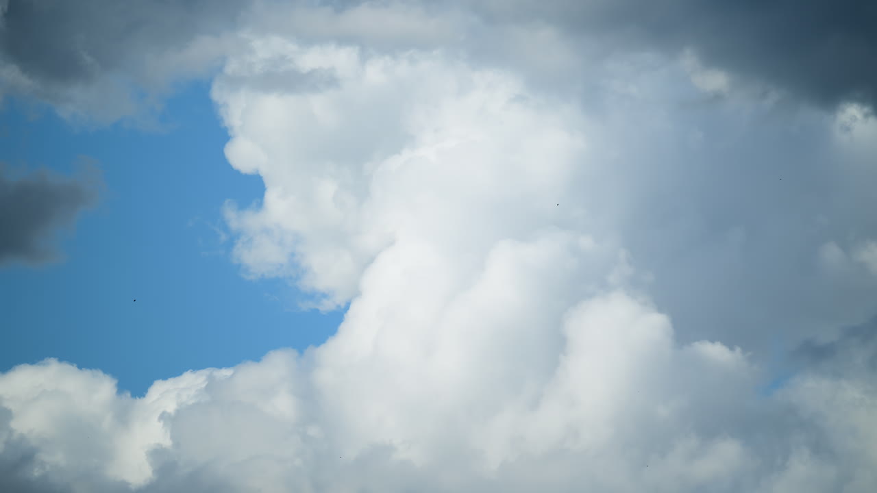 Timelapse of white fluffy clouds gliding gracefully against a vibrant blue sky, creating a peaceful scene on a sunny afternoon