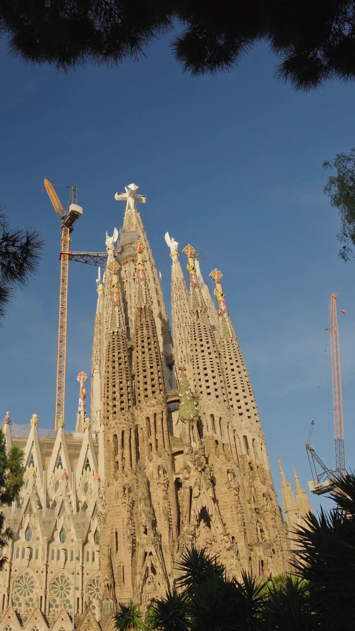Basilica della Sagrada Familia incorniciata da alberi mediterranei a Barcellona, Spagna