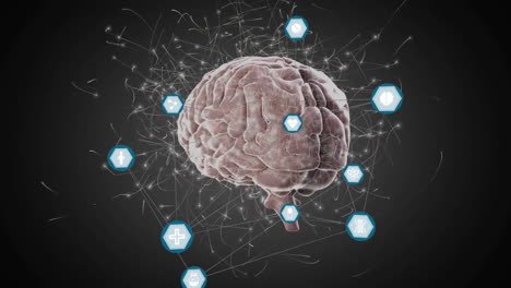 animación de la red de conexiones con iconos sobre el cerebro humano