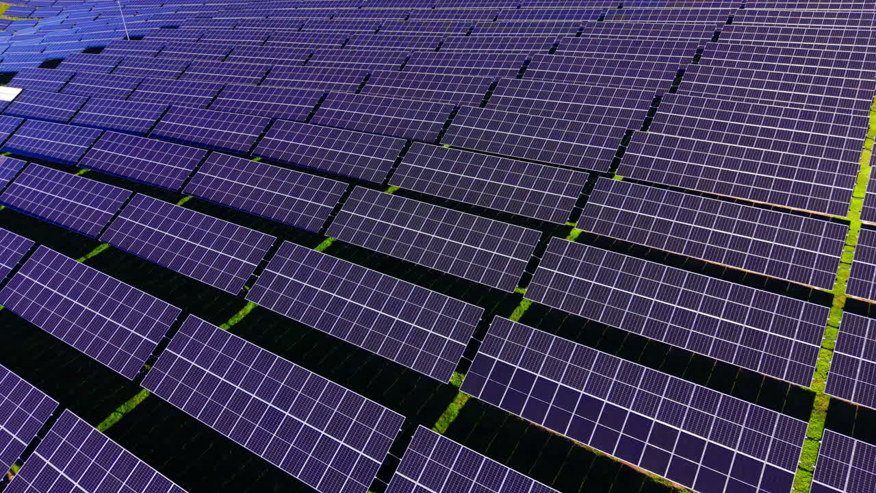 Vista aerea dall'alto di file di moduli solari in silicio policristallino. Pannelli fotovoltaici blu scuro installati su rack metallici sopra l'erba verde