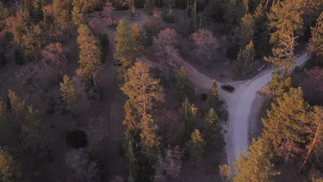 Geländewagen,-Der-Durch-Den-Waldbergfeldweg-Fährt,-Luftbild