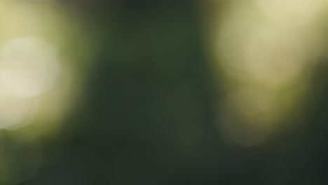 single spider web silk string thread shining in wind on green bokeh background