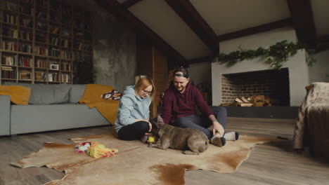 pareja jugando con su perro bulldog con una pelota de tenis en el suelo en la sala de estar