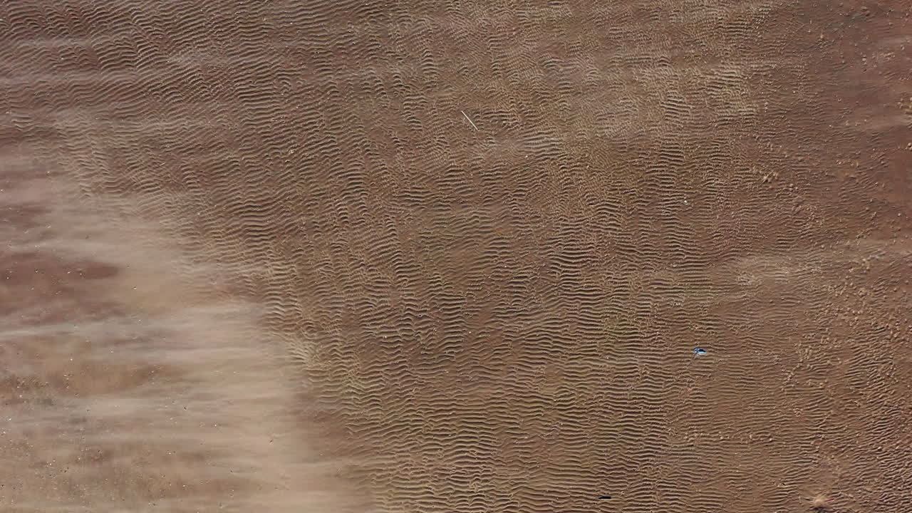 una toma de arriba hacia abajo sobre la playa en kaiser park, mientras la cámara se cierne sobre la playa, una gaviota pasa volando