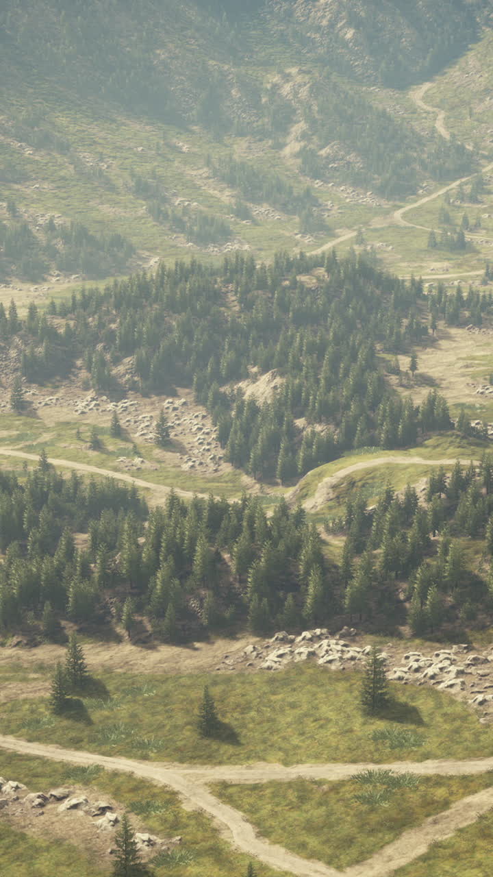 vista de alto ángulo de un valle de montaña con pinos y carreteras