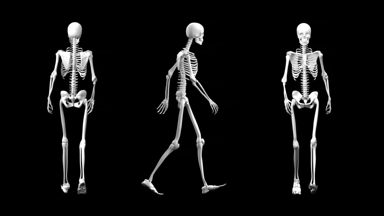 vista diferente de un esqueleto que camina