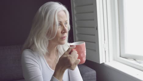 Senior-woman-alone-at-home