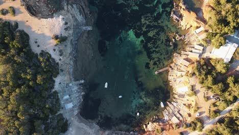 aerial view of a beautiful cove with turquoise blue water surrounded by pine forest