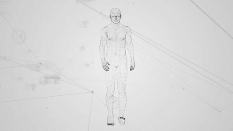 human prototype walking against data connections