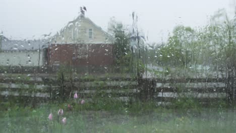 spring rain dripping on the window