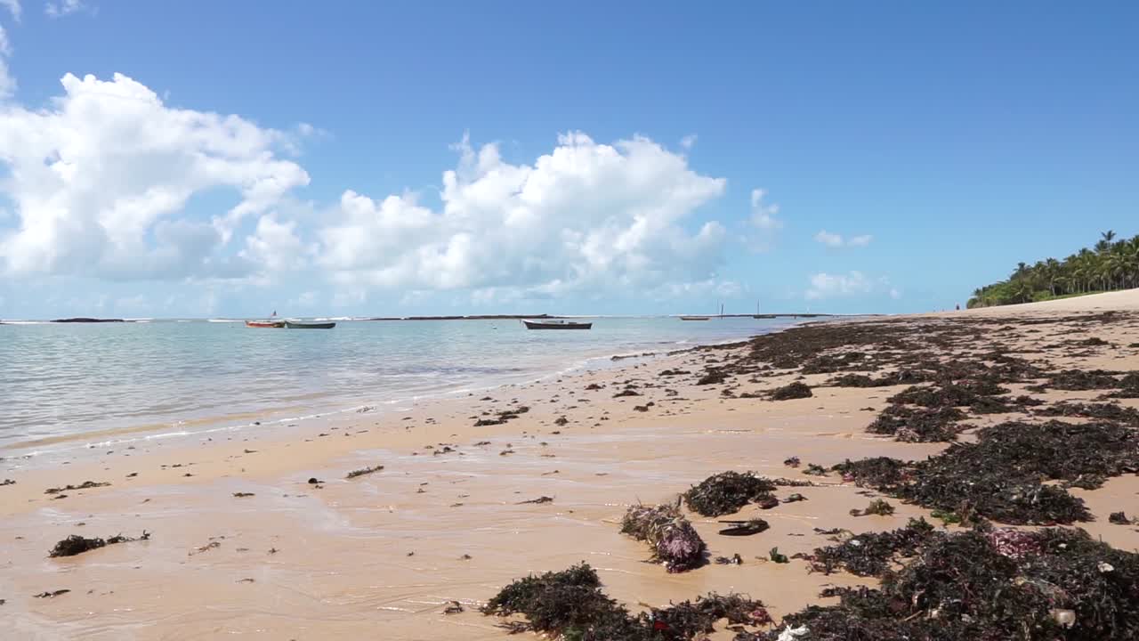 Bãi biển nhiệt đới vào ngày nắng ở Arraial D'Ajuda, Bahia, Brazil: Cảnh quay thấp lúc thủy triều xuống