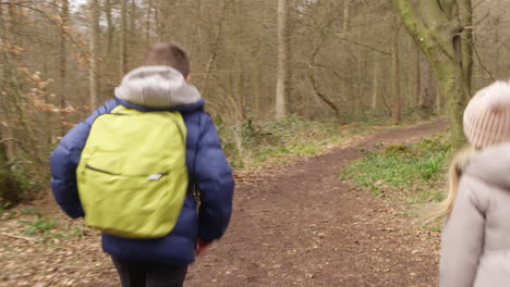 vista trasera de dos niños corriendo por un camino a través de un bosque, filmado en r3d