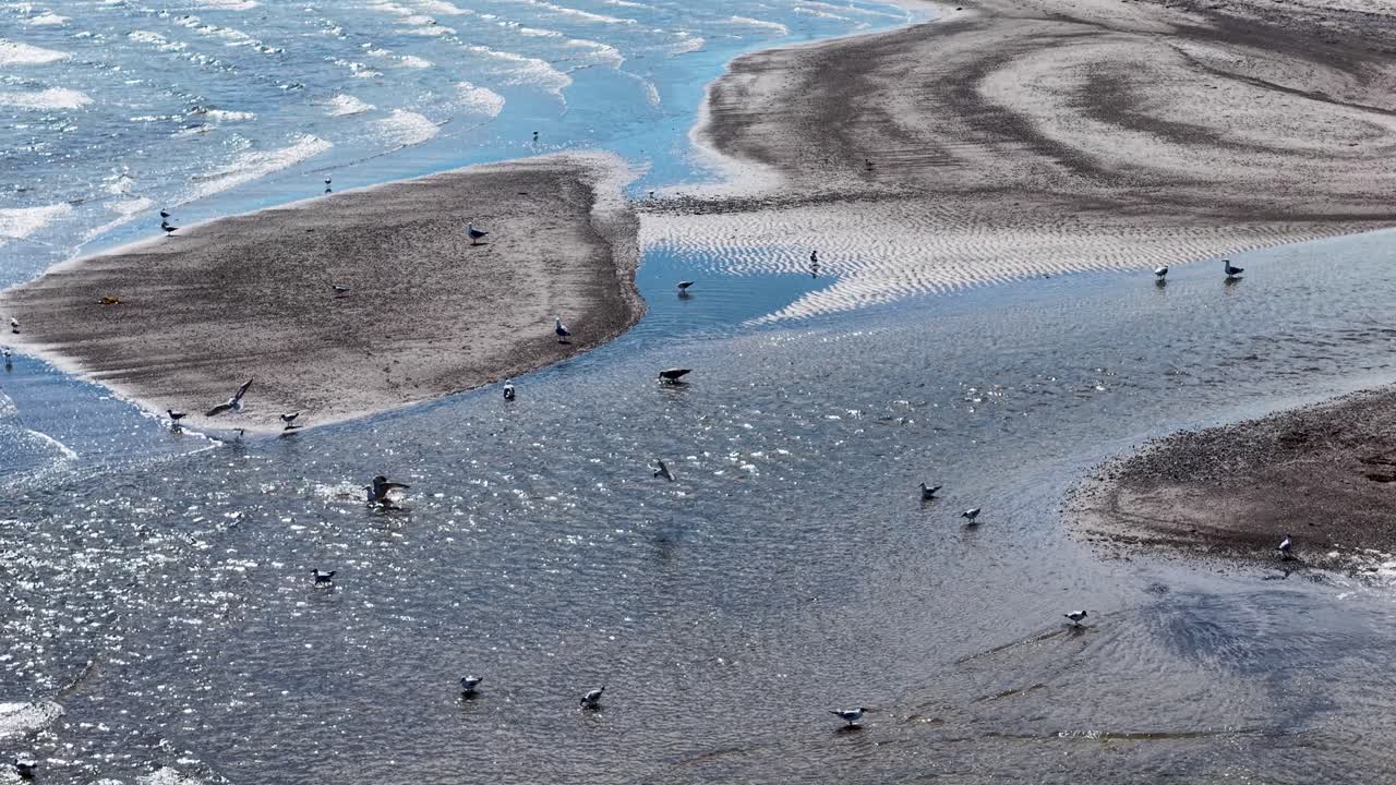 Aerial drone footage of tidal flats with sandbars and shallow waters dotted with seabirds along the coastline
