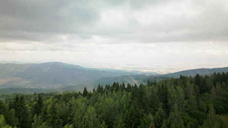 Revelación-Aérea-Dinámica-Desde-Un-Denso-Bosque-Hasta-El-Valle-Bajo-La-Montaña-Vitosha-Con-Niebla-En-Movimiento