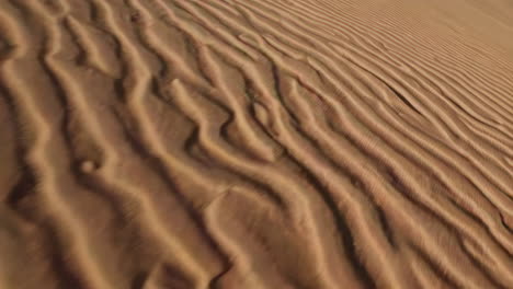 duna de arena del desierto